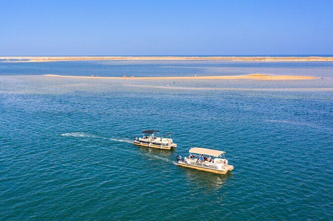 Ilha Deserta and Farol Island: a small group boat trip in Ria Formosa from Faro - Key Points