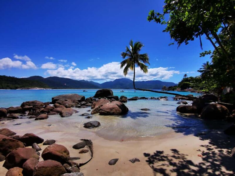 Ilha Grande: 360° Circumnavigation Speed Boat Tour - 8h - Who Will Enjoy This Tour Most?