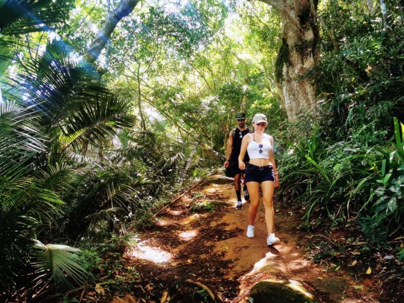 Ilha Grande: Lopes Mendes Private Hiking Tour - Exploring Ilha Grande: An Honest Look at the Lopes Mendes Private Hiking Tour