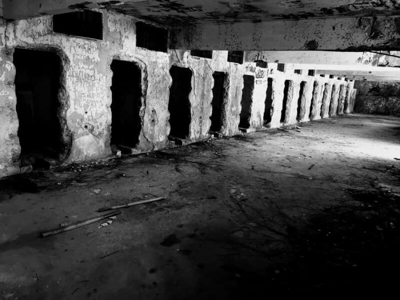 Ilha Grande: Private Hiking with Forest, Beaches & Waterfall - Final Thoughts