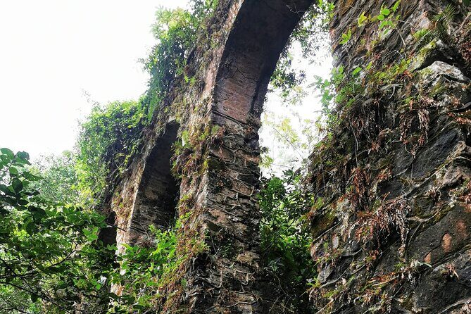 Ilha Grande - Private Historical Walking Tour with Natural Pool. - Who Will Love This Tour?