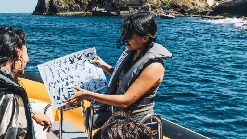 Ilhéu de Vila Franca: Guided Eco Boat Tour with Biologist - Exploring the Ilhéu de Vila Franca by Boat
