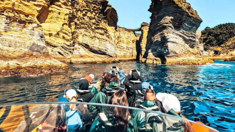 Ilhéu de Vila Franca: Guided Eco Boat Tour with Biologist - Wildlife and Seasonal Highlights