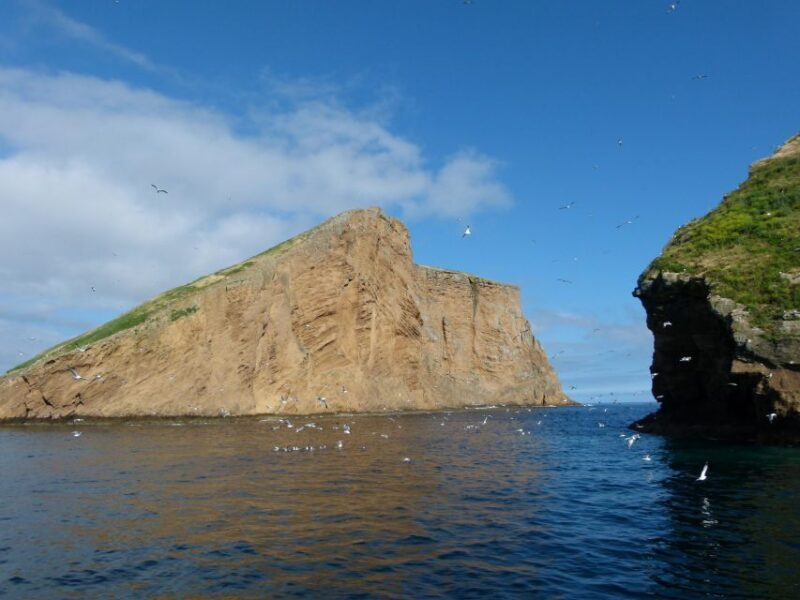 Ilhéus das Cabras in Terceira Island - Frequently Asked Questions