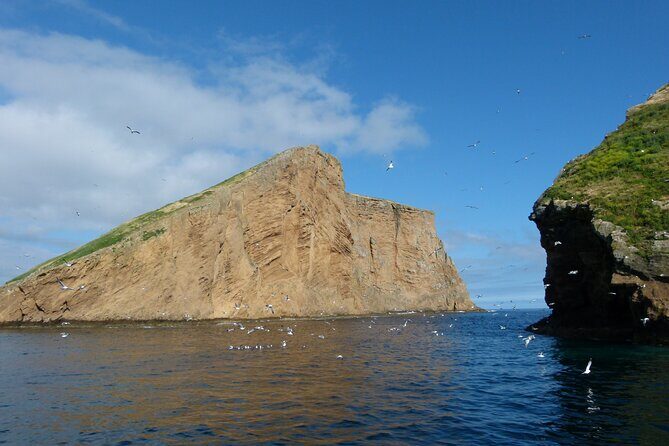 Ilhéus das Cabras in Terceira Island - Practical Details and Tips