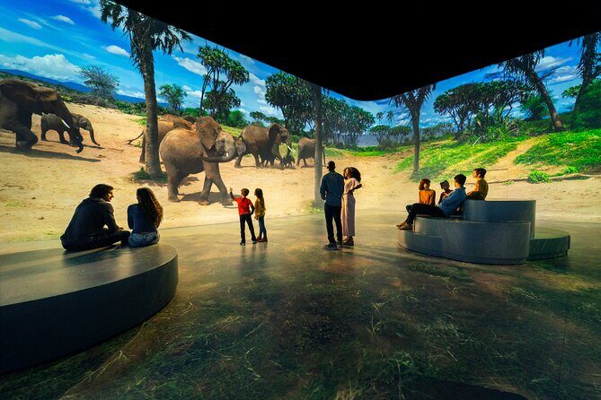 Illuminarium Las Vegas - Key Points