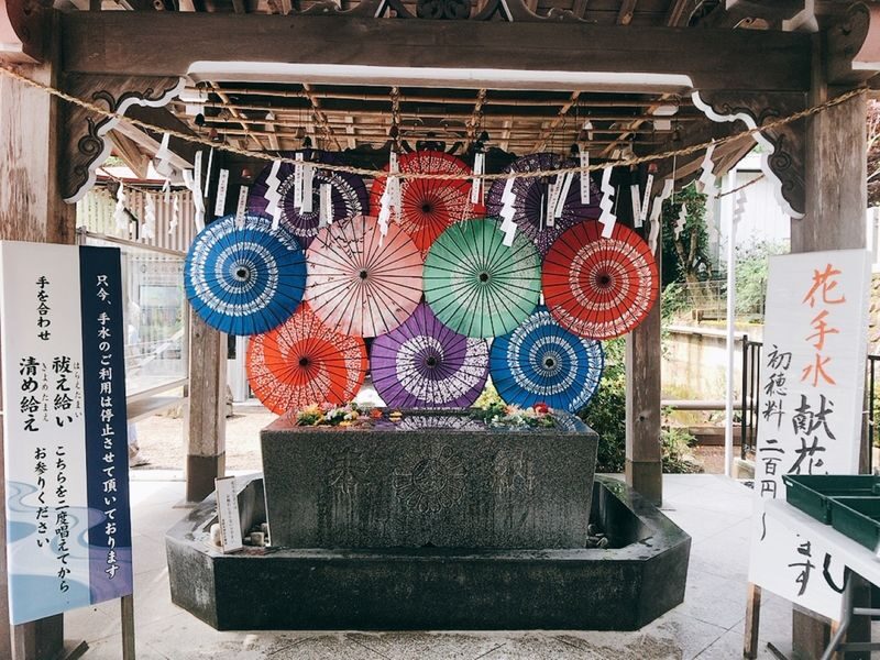 Illuminated Ginzan Onsen & Tohoku Highlights Bus Tour from Sendai - Fruit picking near Sagae