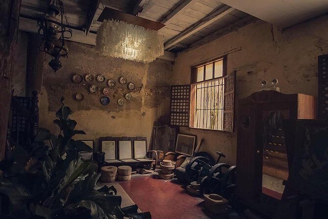 Iloilo City Tour (Garin Farm, Molo Mansion/Church, Vanishing Mansion) - Detailed Breakdown of the Iloilo City Tour