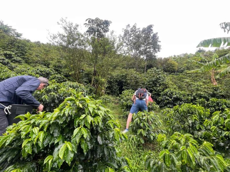 I'm Jessica, and I can't wait to guide you in Guatape - The Journey Begins: Pickup and Transportation
