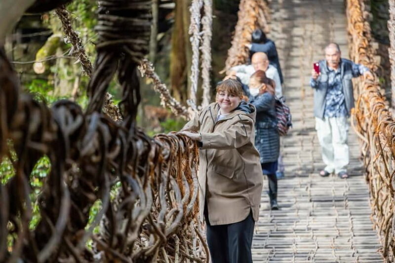 Imabari: Iya Valley, Oboke Gorge & Udon Noodle Cooking Class - Key Points