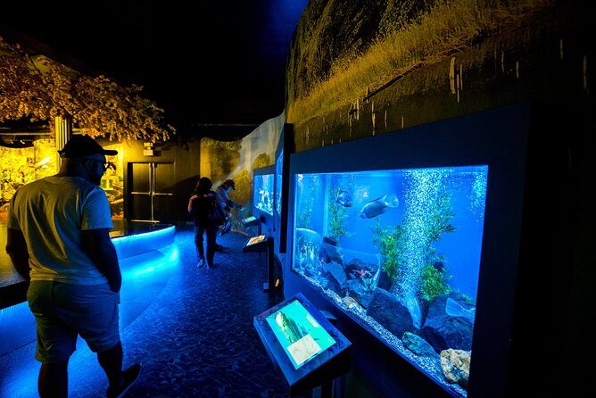 IMAX Theater and Miraflores Locks - Key Points