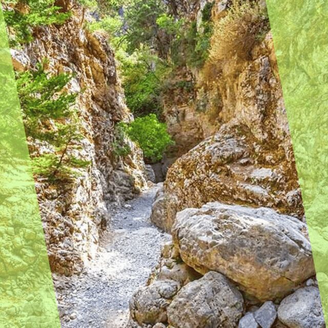 Imbros Gorge : A Hiking Tour with Local Guide - The Journey Begins: From Chania to Imbros Gorge