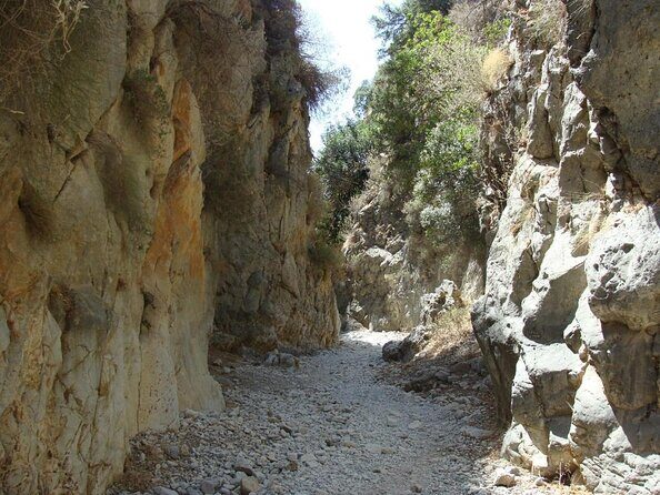 Imbros Gorge Adventure Day Trip from Chania - Key Points