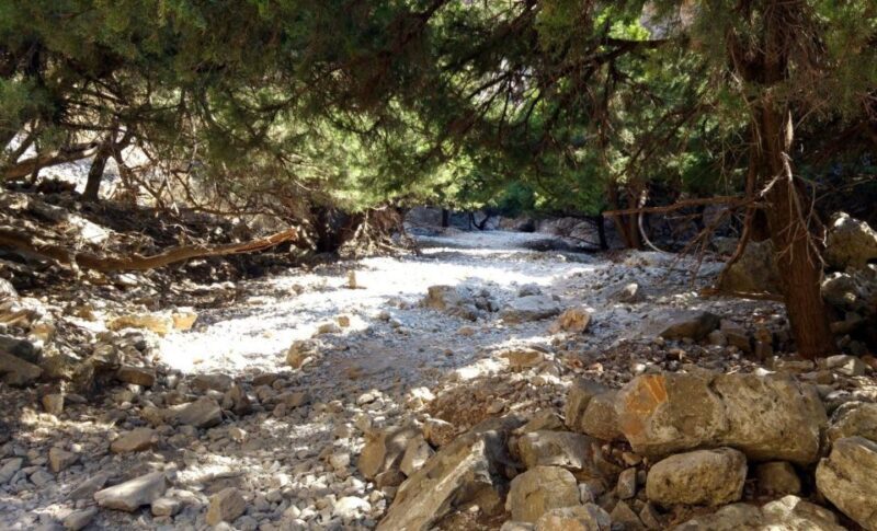 Imbros Gorge Hike From Rethymno - Key Points