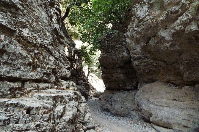 Imbros Gorge Tour From Rethymno - Who Should Consider This Tour?