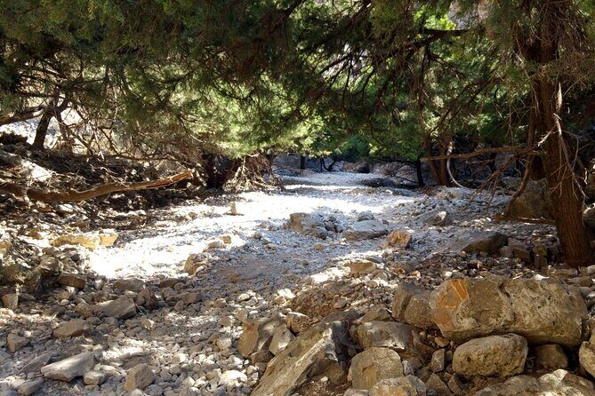 Imbros Gorge Tour From Rethymno - Final Thoughts