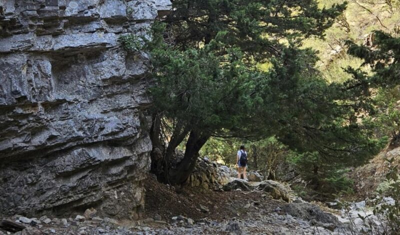 Imbros Gorge: Walk the Trail, Live the Story Private Tour - Imbros Gorge: Walk the Trail, Live the Story Private Tour