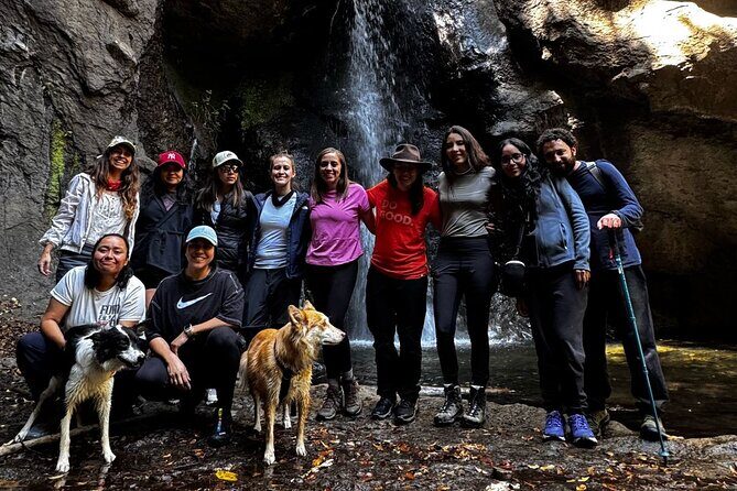 Immerse in the Nature: Deep Connection through Forest Bathing - Key Points