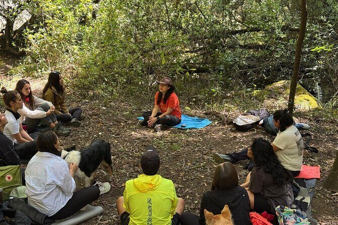 Immerse in the Nature: Deep Connection through Forest Bathing - The Sum Up