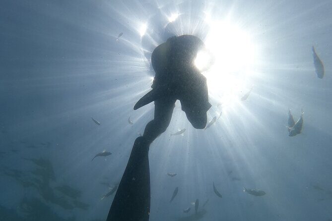 Enjoy paradise: Hidden Beach Snorkeling Adventure - Exploring Puerto Vallarta’s Hidden Beaches: What to Expect