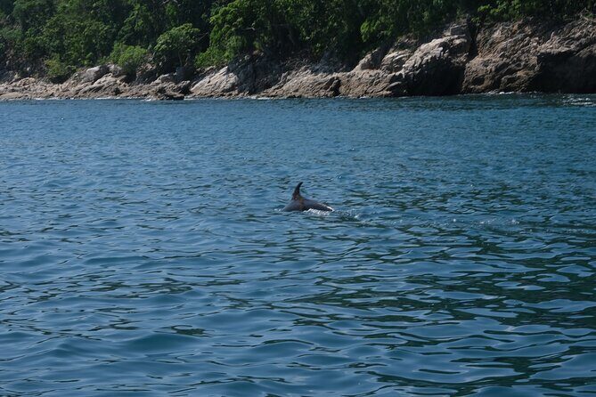 Enjoy paradise: Hidden Beach Snorkeling Adventure - Frequently Asked Questions