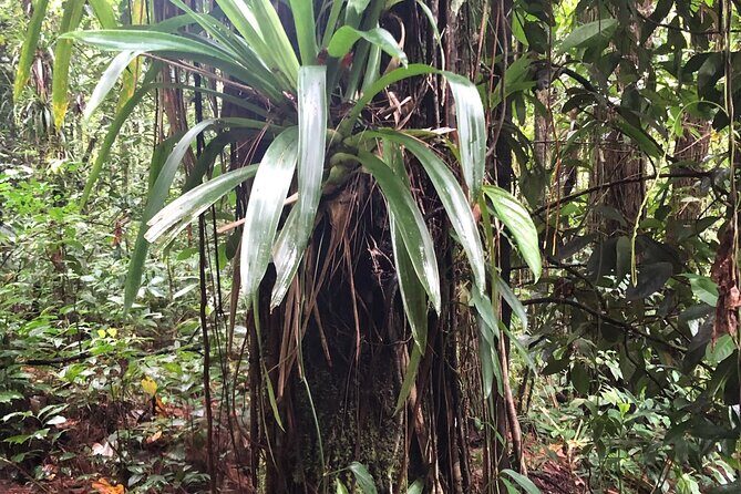 Immerse Yourself In The Natural Beauty of Vermont Nature Trails - Key Points