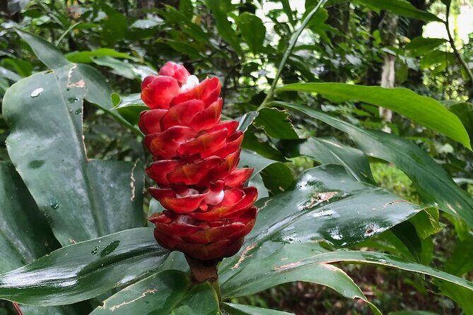 Immerse Yourself In The Natural Beauty of Vermont Nature Trails - In-Depth Review of Vermont Nature Trails