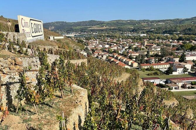 Immersion Domaine E.GUIGAL Visit wine cellars and tasting - Exploring the Heart of the Rhone Valley: A Comprehensive Review