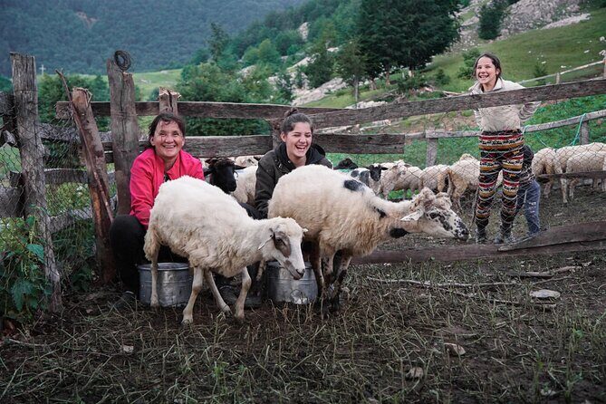 Immersive 2-Day Tour/Homestay with Shepherds in the Albanian Alps - Authentic Albanian Alps Shepherd Homestay: A Two-Day Cultural Adventure