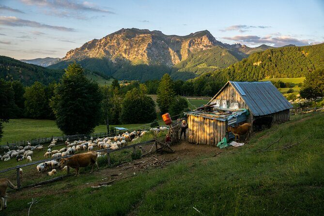 Immersive 2-Day Tour/Homestay with Shepherds in the Albanian Alps - Key Points