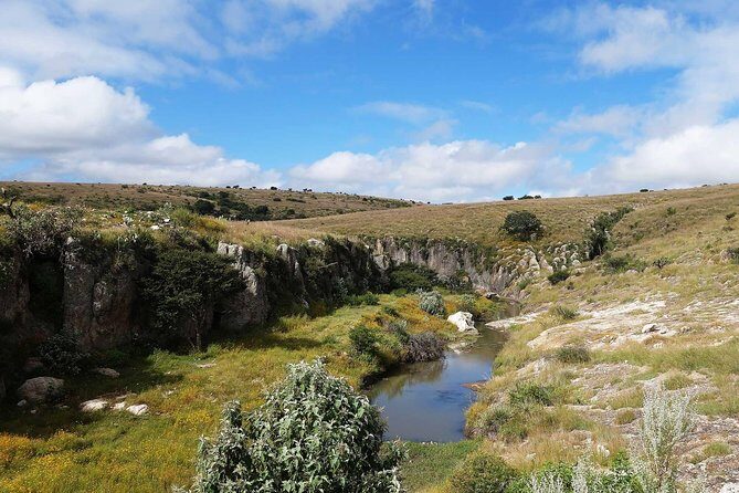 Immersive Cañada de La Virgen Pyramid Tour - Who Will Love This Tour?