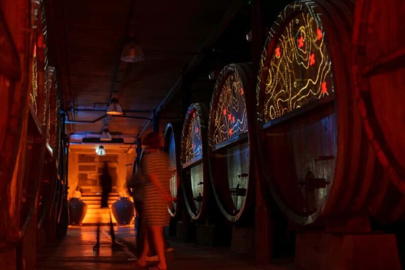 Immersive cellar tour, tasting and board meal - The Itinerary and Experience Breakdown