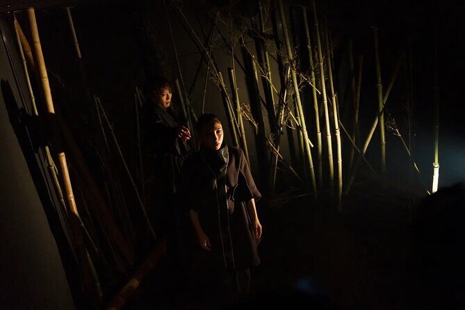 Immersive Experience Anemoia Tokyo Ticket - A Detailed Look at the Anemoia Tokyo Experience