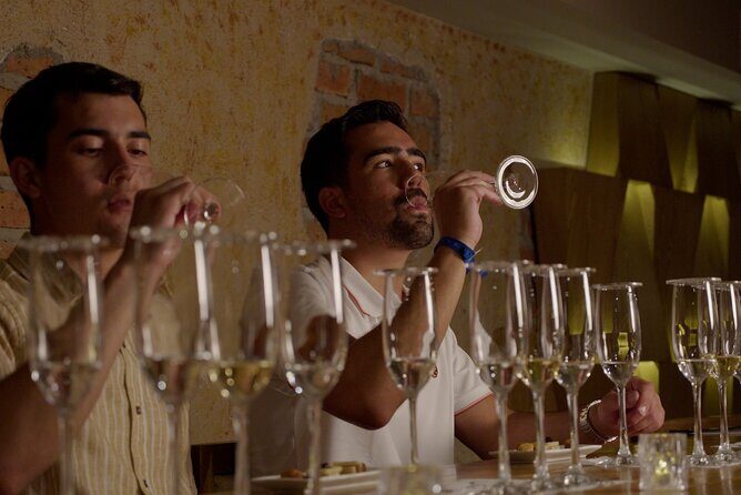 Immersive Experience & Tequila Tasting in Puerto Vallarta - A Deep Dive into the Experience