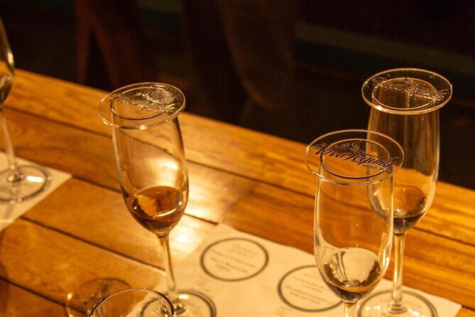 Immersive Experience & Tequila Tasting in Puerto Vallarta - Final Thoughts