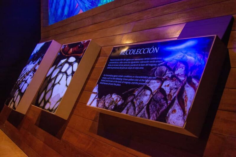 Immersive Experience & Tequila Tasting in Puerto Vallarta - A Flavorful Journey in Puerto Vallarta: Immersive Tequila Tasting Experience