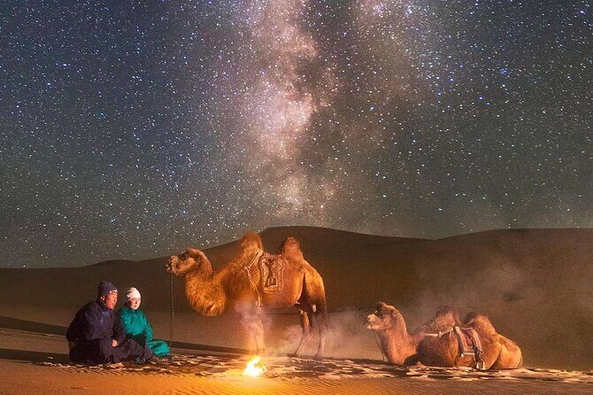 Immersive Mongolian Gobi experience, Camel, Cousine, Stargaze, 2D - Who Will Enjoy This Tour?