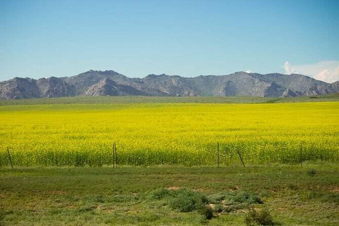 Immersive Mongolian Gobi experience, Camel, Cousine, Stargaze, 2D - FAQ