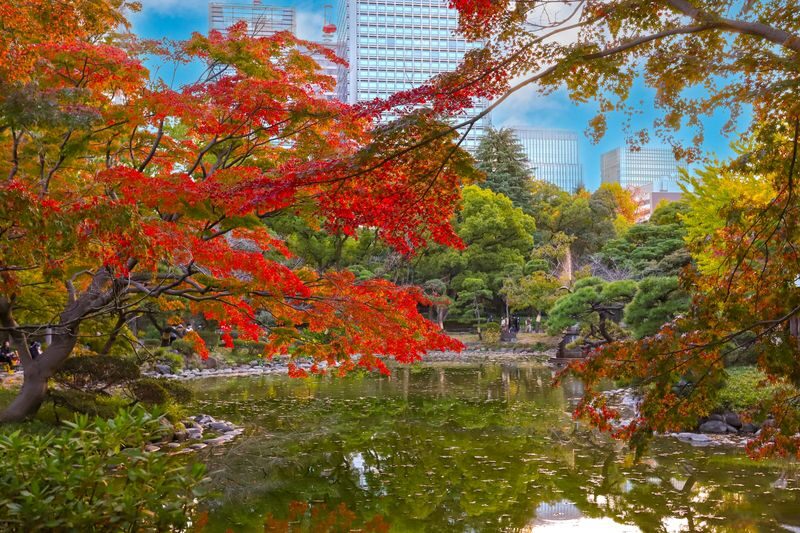 Imperial Palace East Garden and Heritage of Edo Castle Private Tour - Starting at Tokyo Station’s red-brick facade