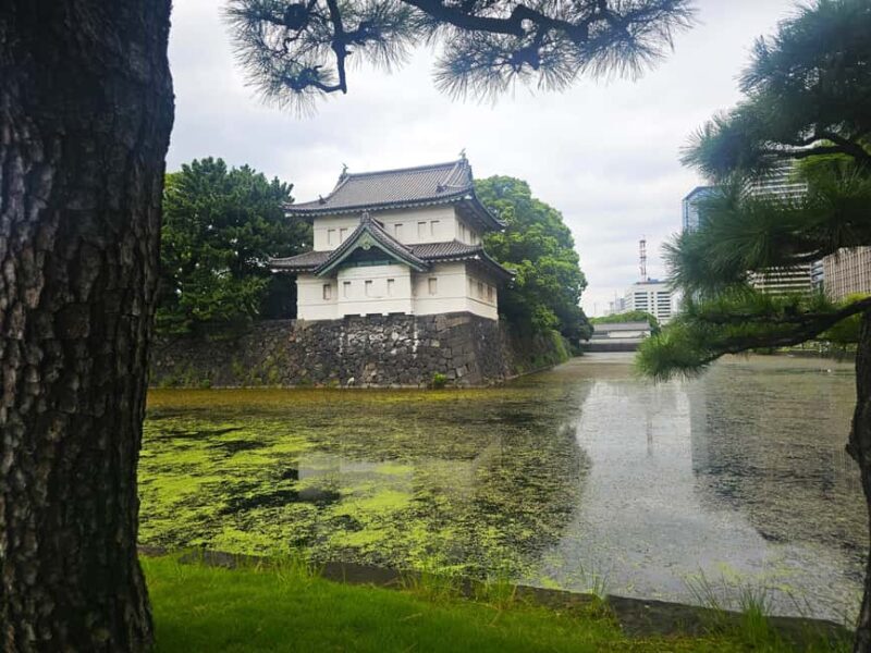 Imperial Palace Gardens and Surroundings - Walking Tour - Analyzing the Value