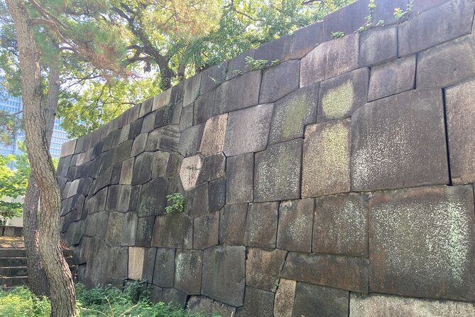 Imperial Palace Historical Walking Tour with an expert guide - Authentic Stories and Local Insights