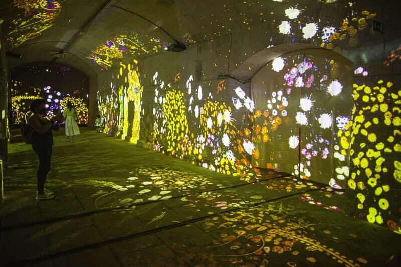 Impressive Monet & Brilliant Klimt -The Immersive Experience - Frequently Asked Questions
