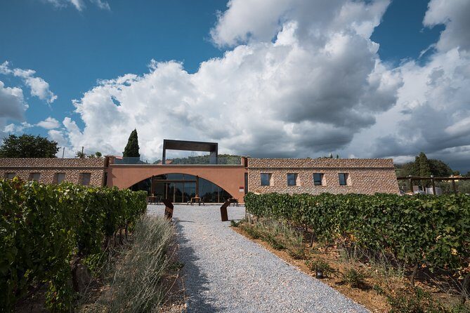 In a carriage among the vineyards, visit of the cellar, tasting of organic wines. - Key Points