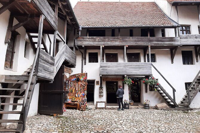 In Search of Dracula and the Teutons in Transylvania Full-Day Private Tour - Who Will Love This Tour?