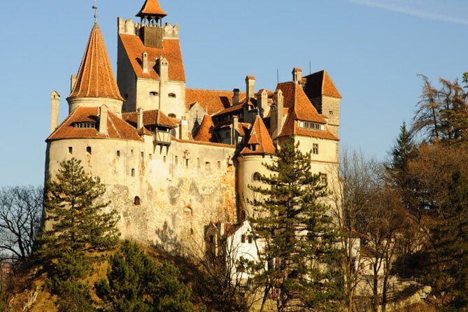 In Search of Dracula and the Teutons in Transylvania Full-Day Private Tour - Final Thoughts