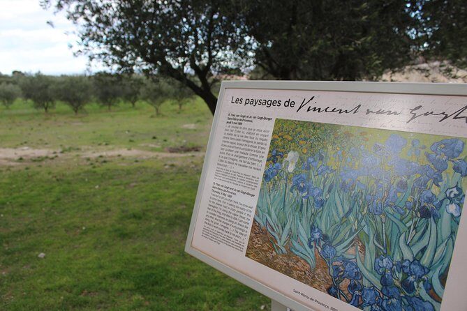 In the footsteps of Van Gogh in Provence from Avignon - A Deep Dive into Van Gogh’s Provence Experience