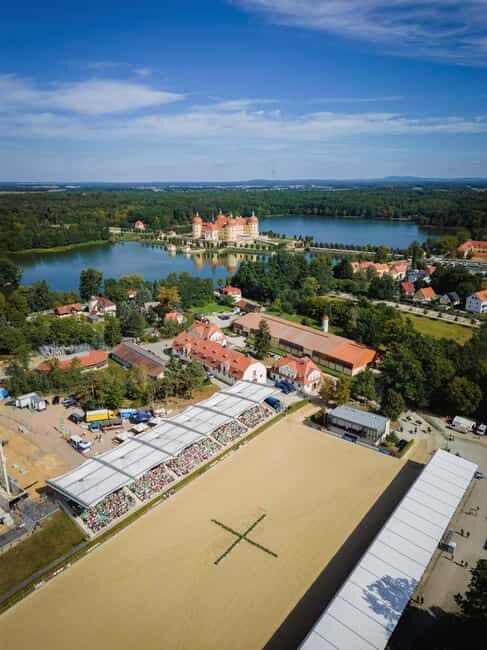 In the shadow of Moritzburg Castle  guided tour of the town center - Key Points