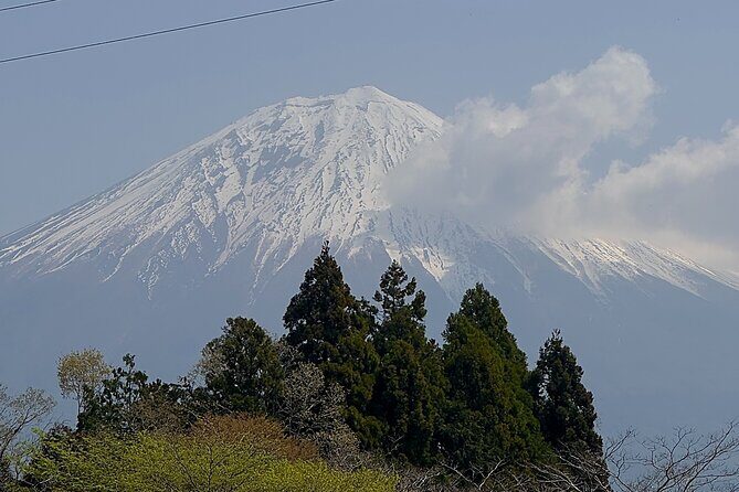 Inaka Excursions | Escape the Cities and find your peace!! - Final Words: Is This Tour Right for You?