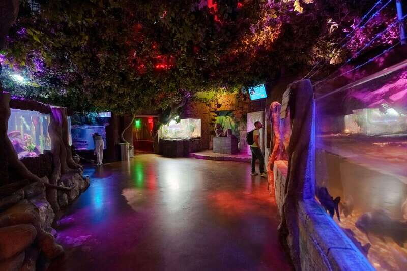 Inbursa Aquarium Entry Ticket with VR Option - Experience the Marine World at Inbursa Aquarium with Priority Access and VR Options