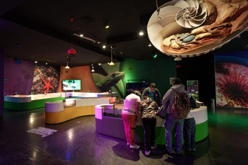 Inbursa Aquarium Entry Ticket with VR Option - Who Should Consider This Tour?